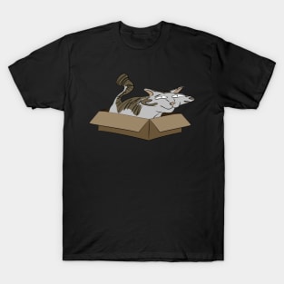 Cat in a box (colour) T-Shirt